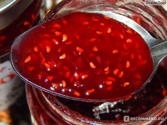 17 простых рецептов приготовления джема из красной смородины на зиму