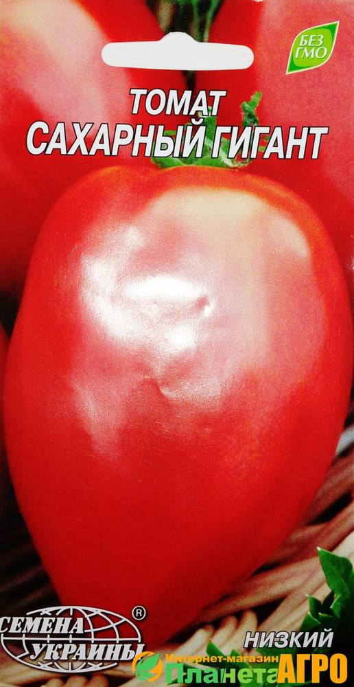 Томат сахарный великан: отзывы об урожайности помидоров, характеристика и описание сорта, фото семян аэлита