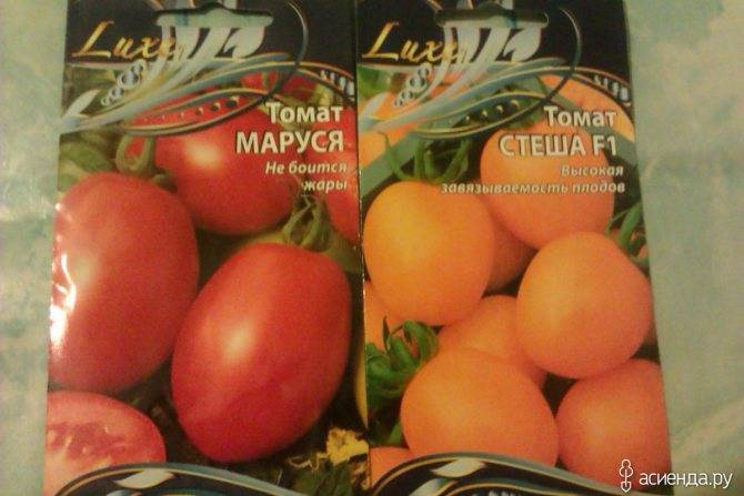 Как посадить и вырастить томат маруся - всё о землеводстве