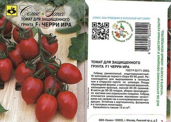 Сорт из сибири с огромным урожаем — томат алтаечка: подробное описание и характеристики