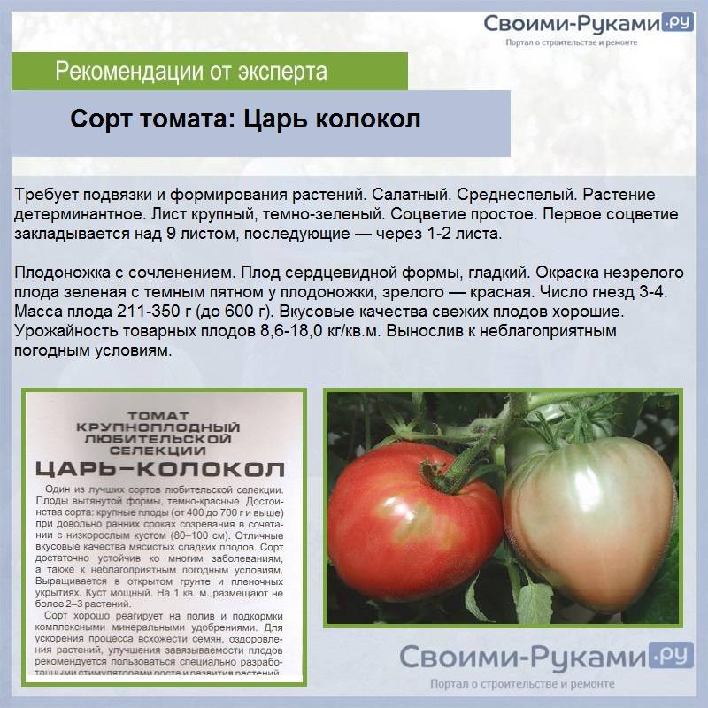 Томат "татьяна": описание и характеристики сорта, рекомендации по выращиванию, фото плодов-помидоров русский фермер