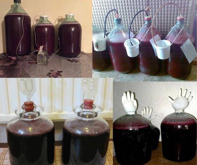 Домашнее вино: простые способы приготовления напитка своими руками