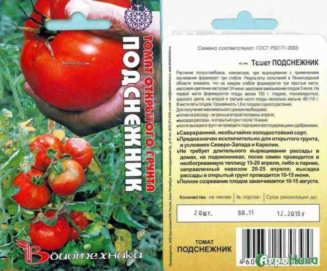 Характеристика и описание сорта томата снегирь, его урожайность
