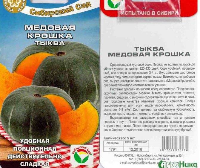 Описание сортов медовой тыквы, их характеристика и урожайность