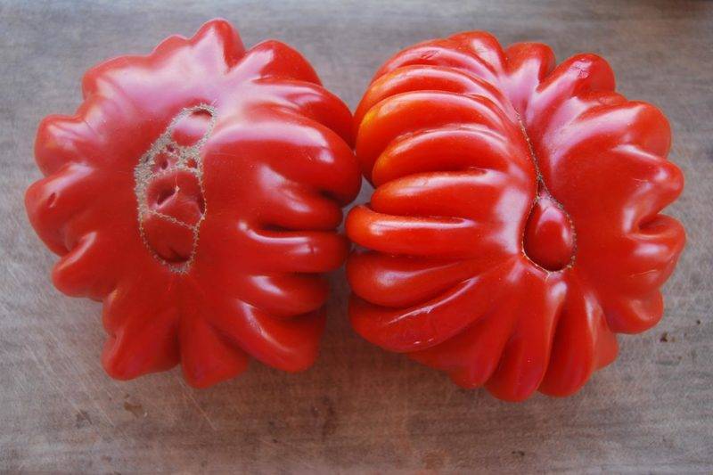 Лотарингская красавица: томат, который удивит соседей и родных
