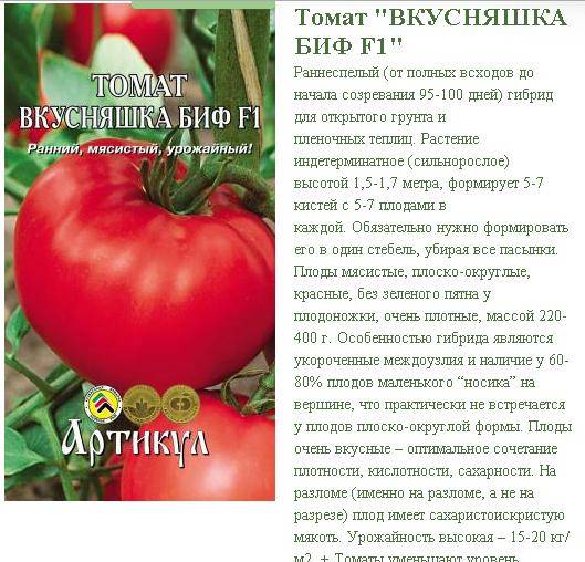 Крупноплодный сорт для приготовления салатов и нарезок — томат бармалей: описание гибрида и его характеристики