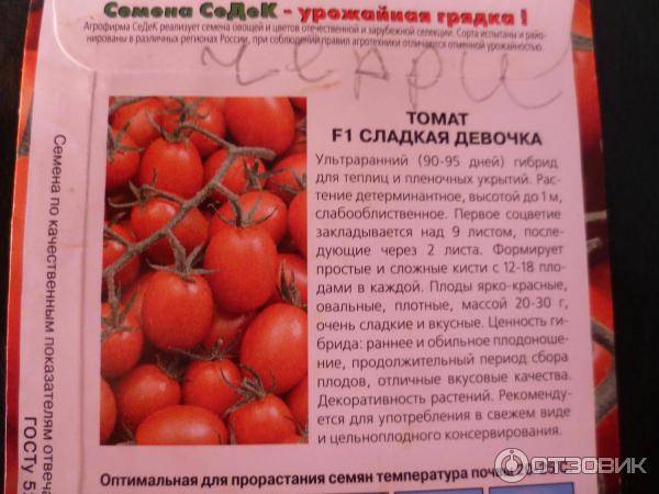 Томат дубрава: характеристика и описание сорта, отзывы тех кто сажал и выращивал помидоры об их урожайности, фото семян гавриш и куста в высоту, как ухаживать за рассадой