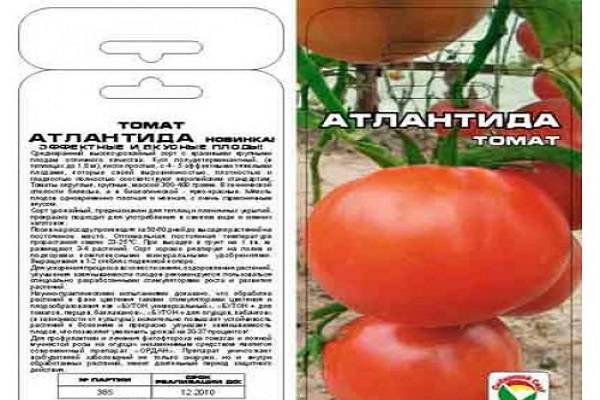 Описание сорта томата Василий, его характеристика и выращивание