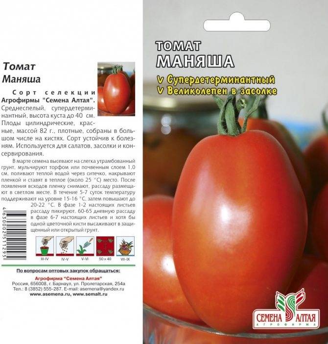 Описание томата монастырская трапеза и его характеристика, особенности выращивания