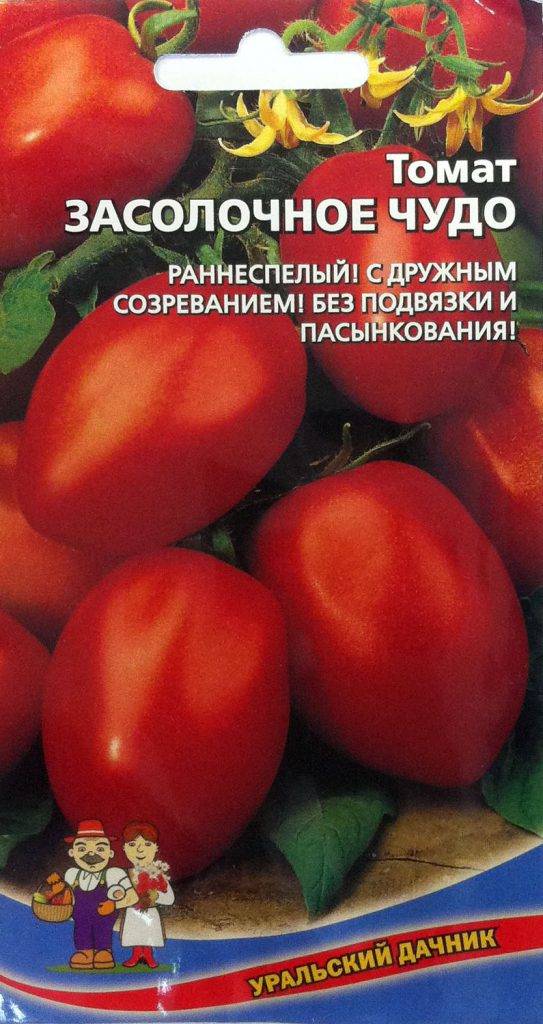 Фото, отзывы, описание, характеристика, урожайность сорта томата «чудо сада».