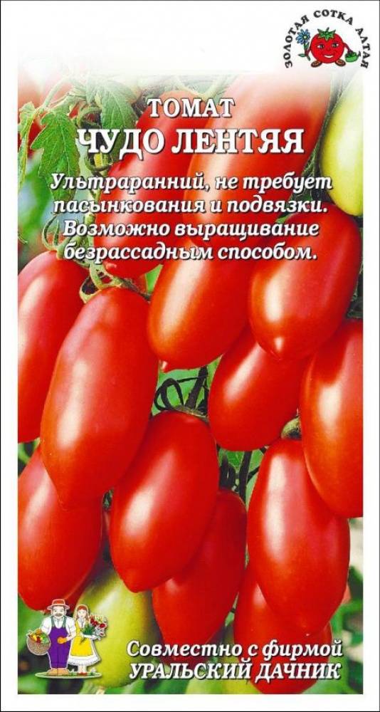 Характеристика и описание сорта томата Сибирское чудо, его урожайность