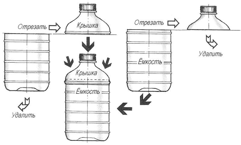 Выращивание огурцов в бутылках — пошагово, как выращивать для начинающих, посадка и уход, в 5 литровых бутылках, в открытом грунте