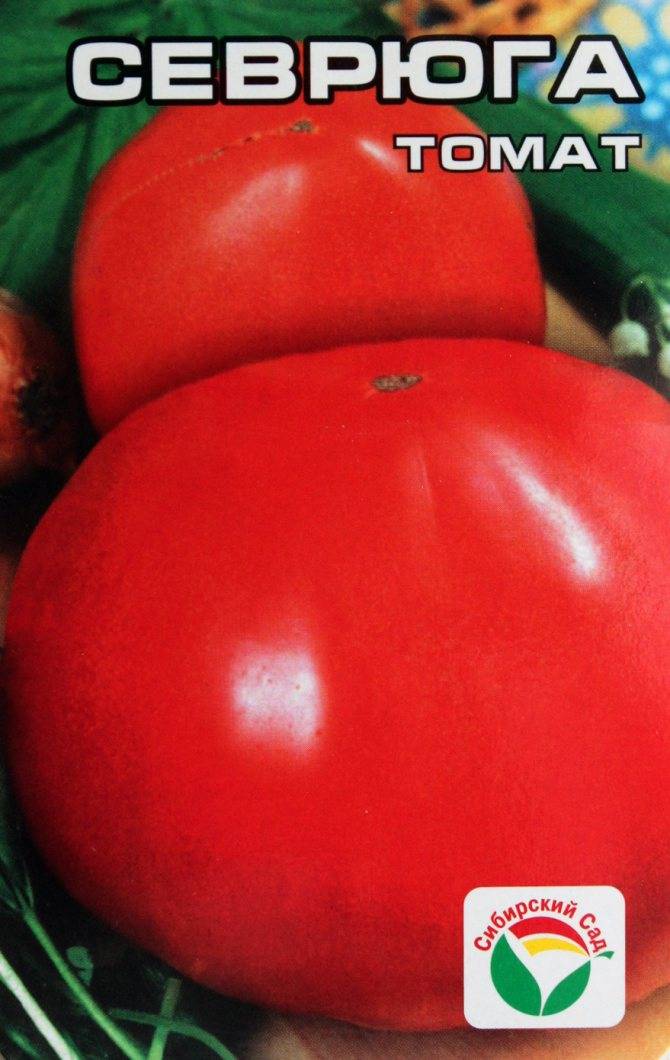 Томат “севрюга”: востребованный сорт среди овощеводов