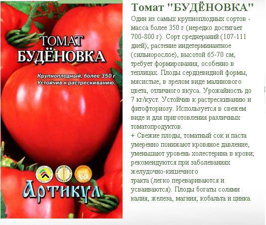 Характеристика и описание сорта томата Таня