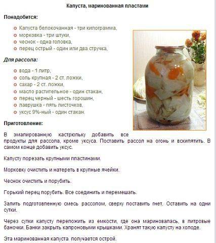 Таркинский перец: рецепты приготовления, как правильно посолить, фото