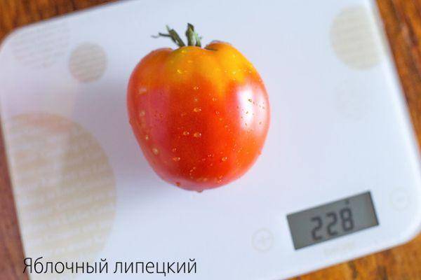 Описание сорта томата Яблочный липецкий, особенности выращивания и ухода