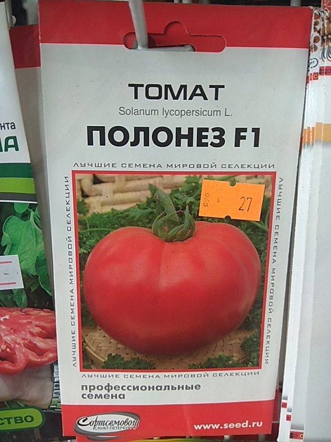 Характеристика сорта томат Полонез и его описание
