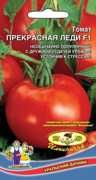 Характеристика и описание сорта томата шеди леди, его урожайность