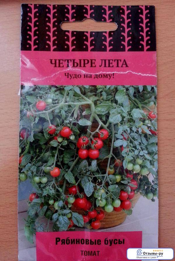 Описание сорта томата Рябиновые бусы, его характеристика и урожайность