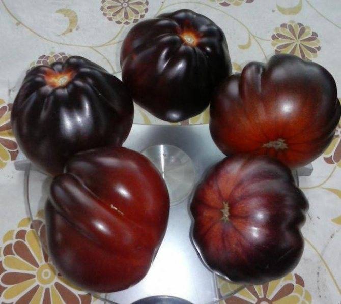 Отличный сорт для огородника-гурмана — томат груша чёрная: описание и секреты выращивания