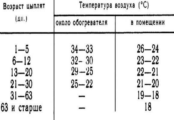 Таблица оптимальных показателей температуры для содержания бройлеров