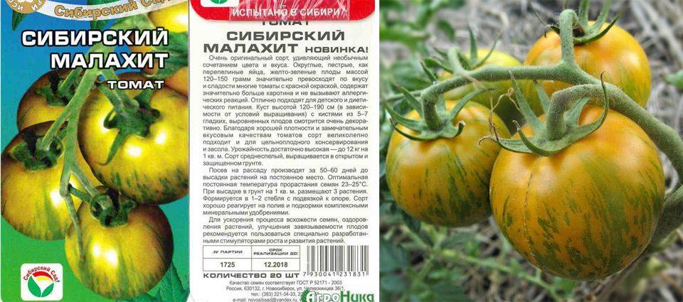 Томат сибирский малахит: описание сорта, отзывы, фото, урожайность | tomatland.ru