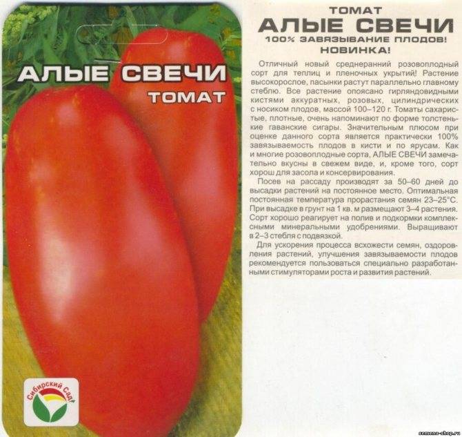 Описание сорта томата алый фрегат f1, его характеристика и урожайность