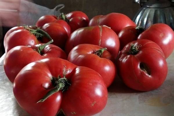 Продуктивный гигант с великолепным ароматом — томат спринт таймер: описание сорта и характеристики
