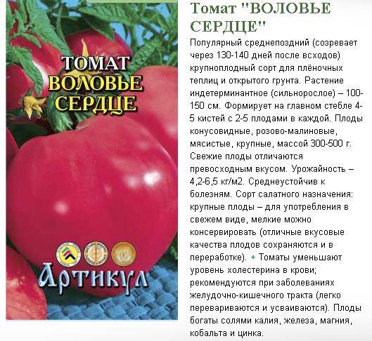 Томат вернер: характеристика и описание сорта, отзывы садоводов с фото
