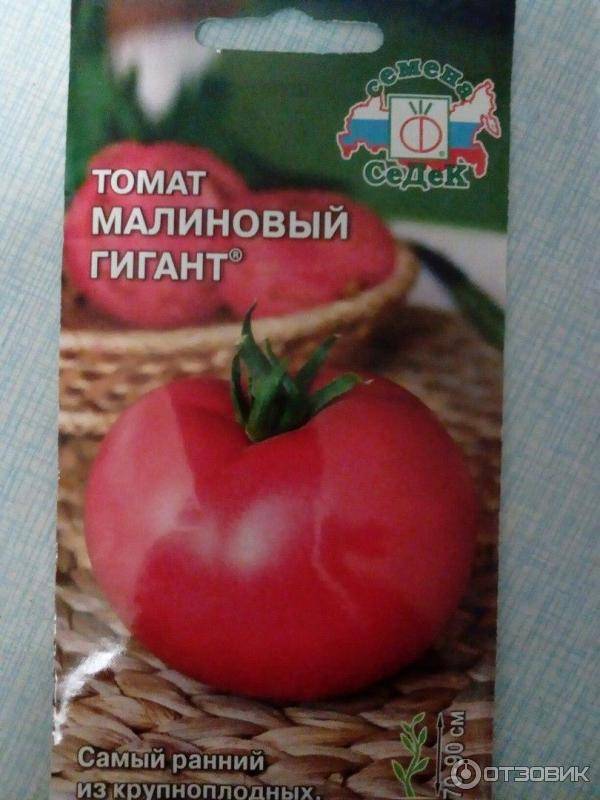 Характеристика и описание сорта томата малиновое виконте, его урожайность