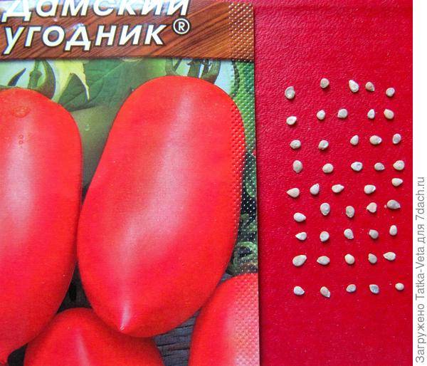 Как выращивать помидоры дамский угодник: характеристика и описание сорта