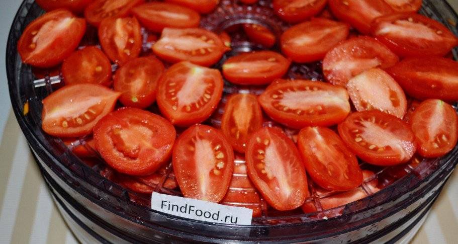 Как сушить томаты в электросушилке