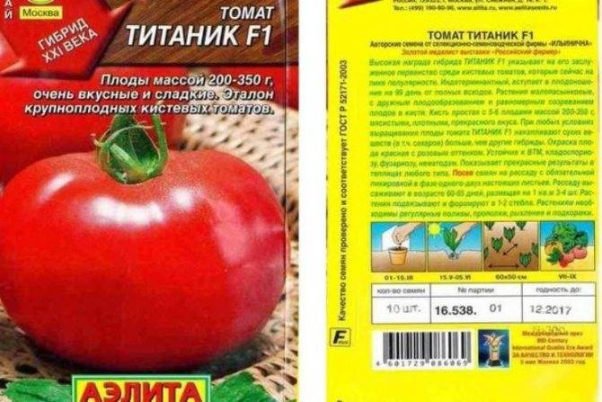 Томат титан – характеристика и описание сорта, фото, урожайность, выращивание, отзывы