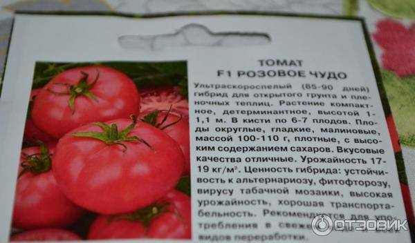 Сорта розовых томатов (90 фото) — самый полный каталог