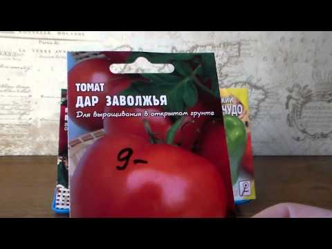 Характеристика сорта томата дар заволжья, особенности выращивания - огород | описание, советы, отзывы, фото и видео