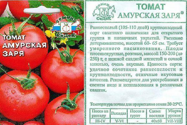 Амурский штамб помидоры подробное описание