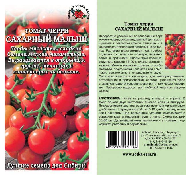 Собираем 5-6 кг помидоров с куста, выращивая томат «сахарный гигант»