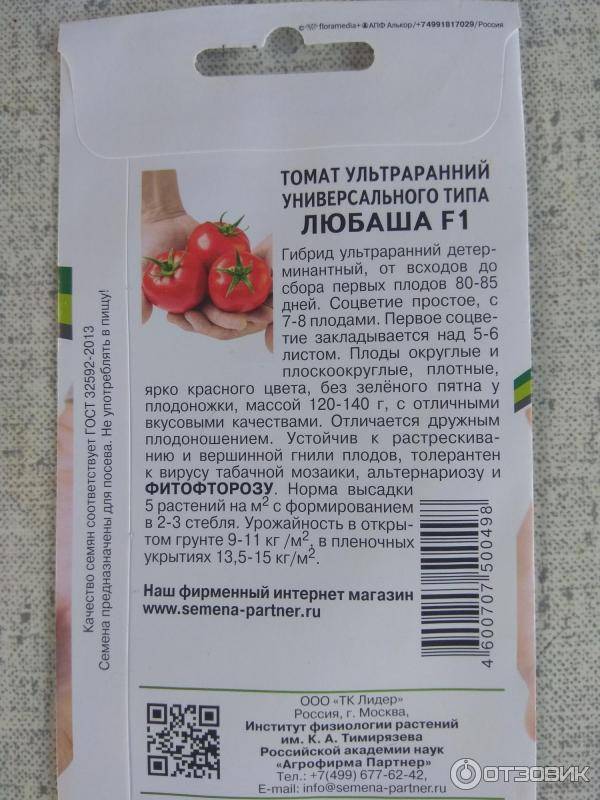 Характеристика и описание сорта томата Болото, его урожайность