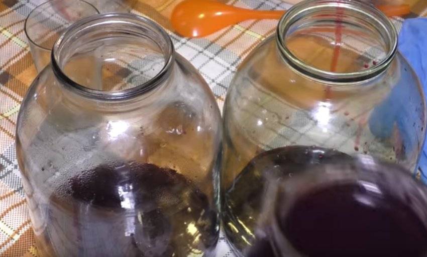 Сливовое вино в домашних условиях — 11 рецептов с пошаговым приготовлением