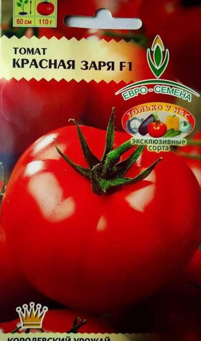 Сорт не требующий усердного ухода — помидоры амурские зори: советы по выращиванию