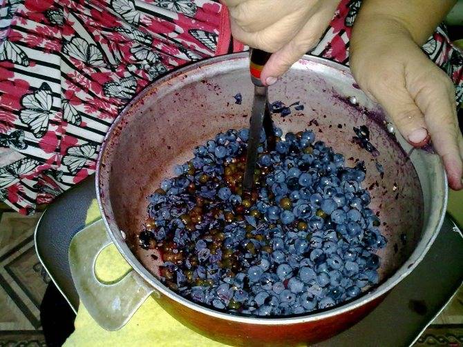 Как сделать домашнее вино из винограда в домашних условиях - простой рецепт вина из винограда изобелла и других сортов