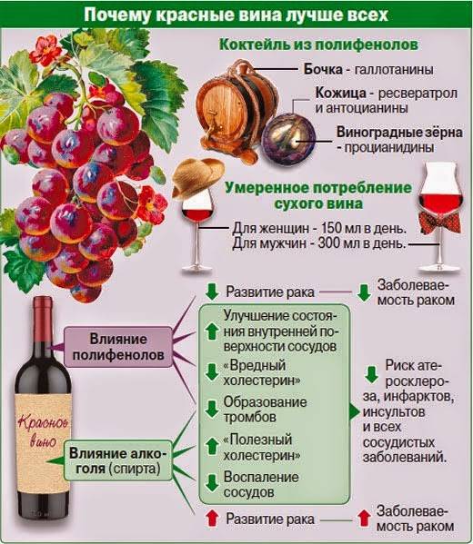 Почему домашнее вино горчит: как исправить и меры профилактики