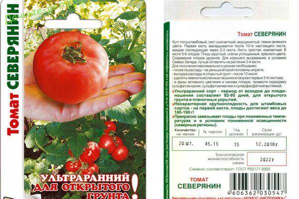 Характеристика и описание сорта томатов «скороспелка» с отзывами