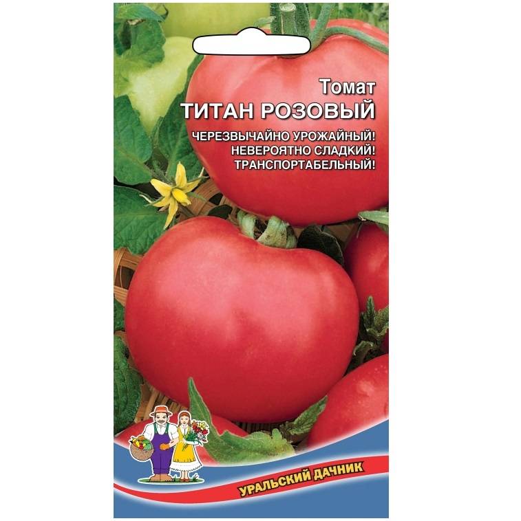 Маленькие плоды с сильным иммунитетом — томат титан розовый: полное описание сорта