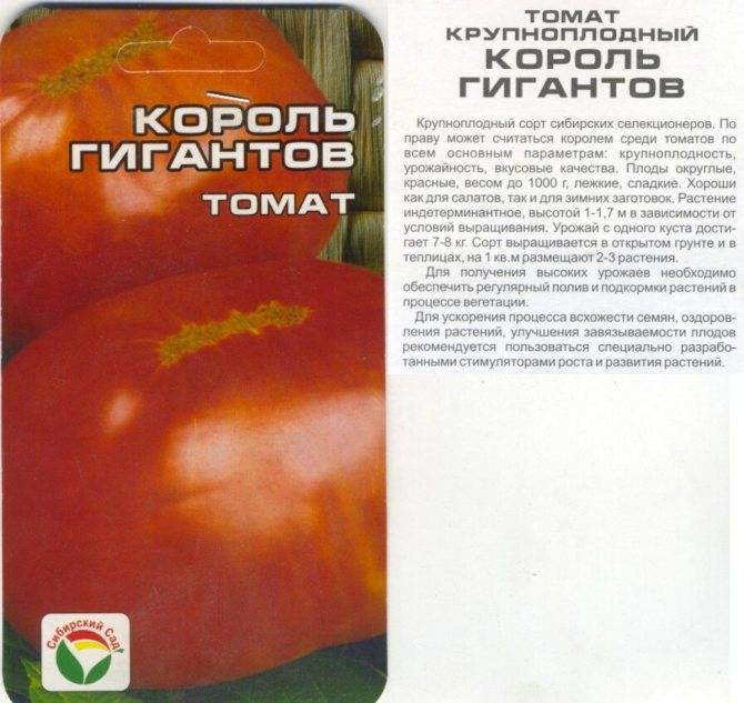 Характеристика и описание сорта томата Сибирский Гигант, его урожайность