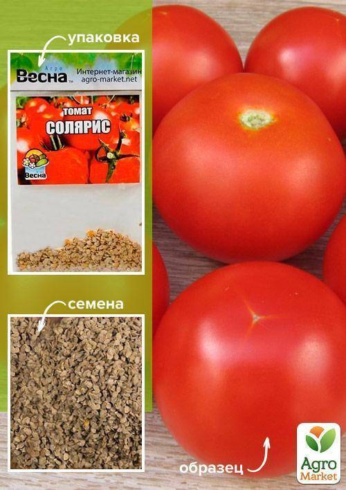 Сорт томата «солярис»: описание и характеристика помидоры из приднестровья