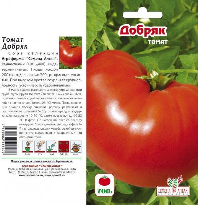 Характеристика и описание томата джейн, агротехнические условия выращивания