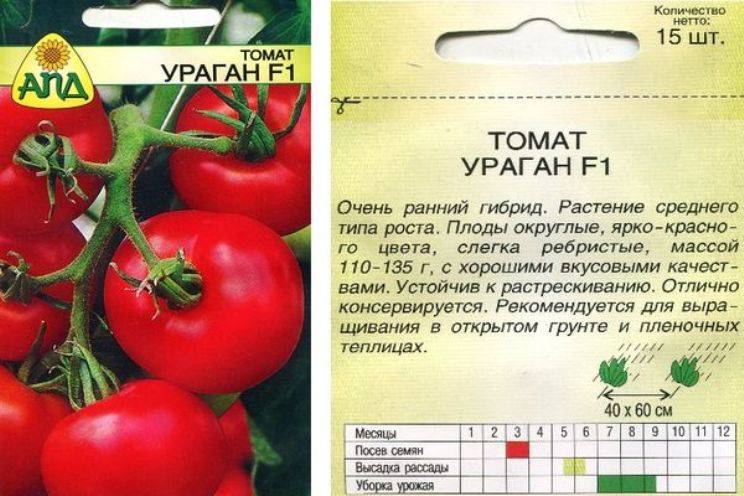 Как вырастить урожайный томат без особого труда. описание гибрида надежда и секреты культивации