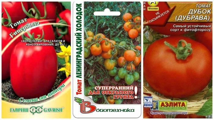 Характеристика и описание томата “дубрава”, отзывы, фото, урожайность