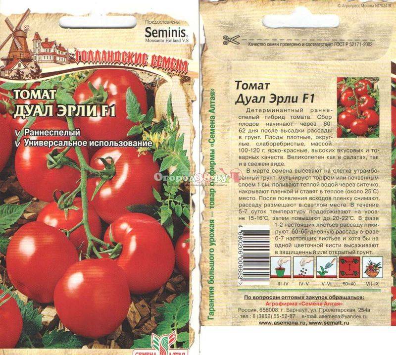 Описание томата санта клаус и выращивание в открытом грунте